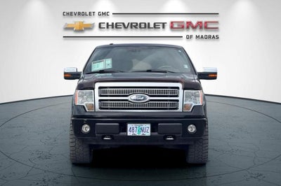 2009 Ford F-150 XL