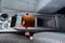 2012 Chevrolet Equinox LT w/2LT